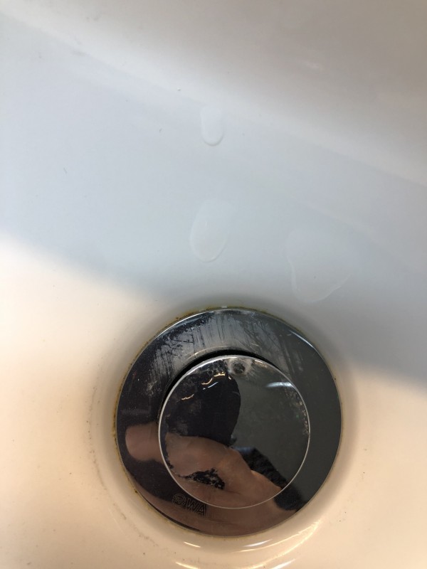 37d42fa796cd84e012fe4648b36c5232_1646111098_3705.jpeg