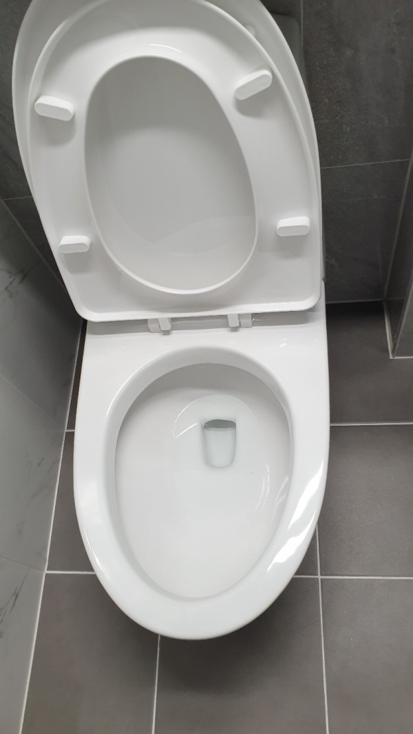 e91ffe5526d426d4e5bd47e8ebaae5ad_1655969438_3997.jpeg