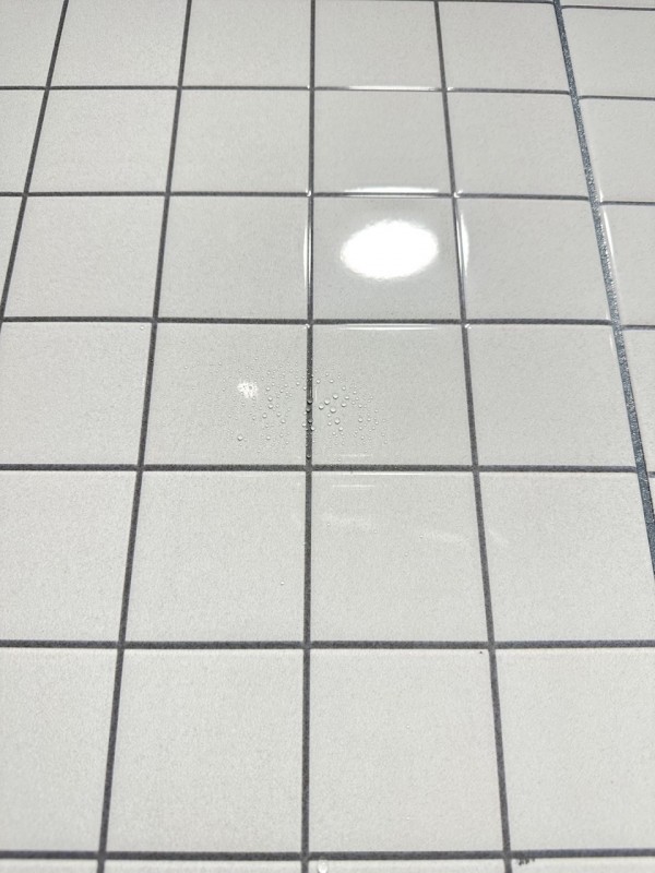 09b986a1e2651927ec6736d4efdf0c8d_1685421573_0367.JPG