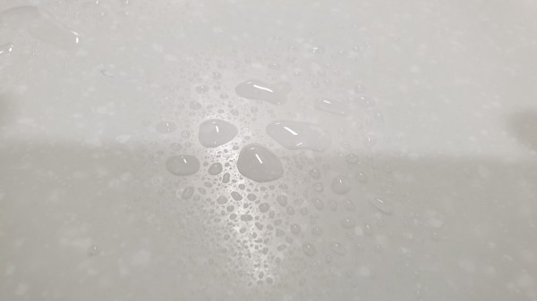 60d8ba3c0c5c64c432c3ec6901edcb3d_1685597733_3024.JPG