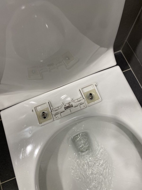 32a0e519ab1e430a59bdd06e9868b2de_1701079803_8312.JPG