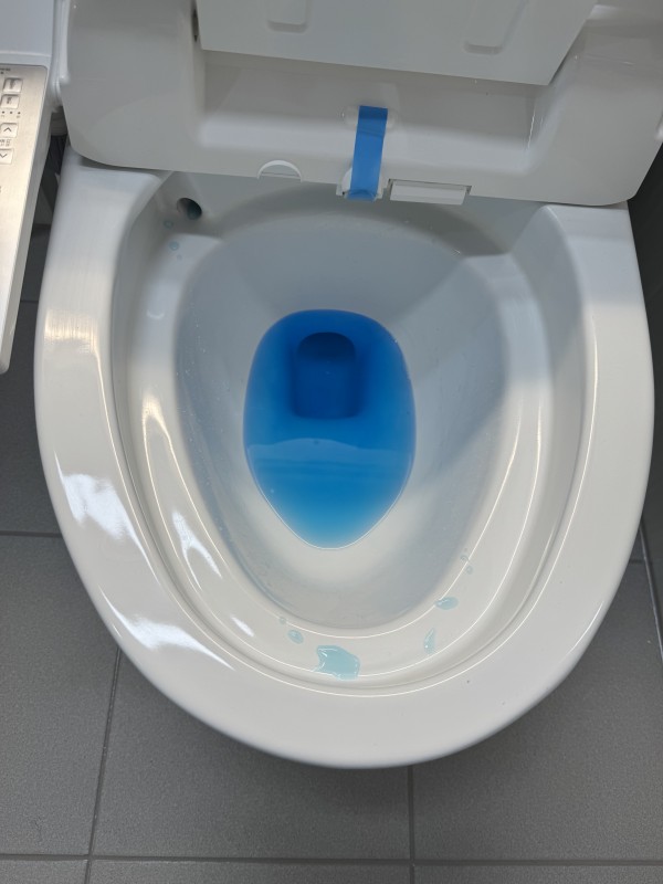 e29dd2e90246a15fdfcf556e27939459_1733730322_2157.jpg