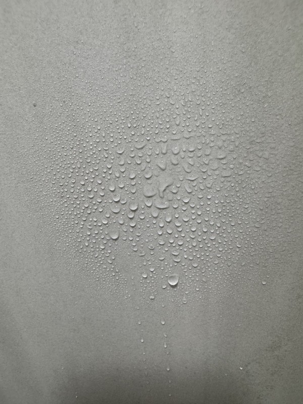 e29dd2e90246a15fdfcf556e27939459_1733730505_5556.jpg