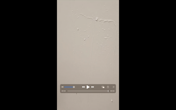 c3ca4e6927bca576e7f52f3190f8b92a_1736477441_0689.png