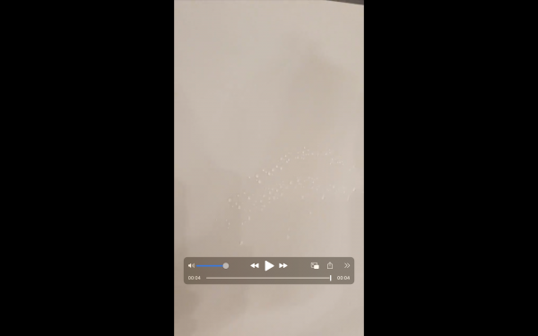 c3ca4e6927bca576e7f52f3190f8b92a_1736477506_0215.png