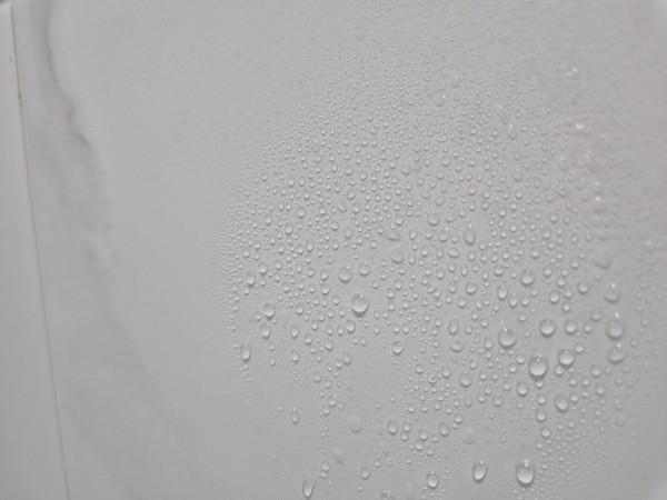 130362402869eaa9326b8bdbc8672f06_1741250643_0752.JPG