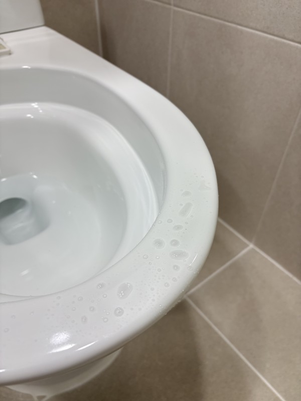 a00333e7212b9d108ec29925ee377c40_1789350752_6937.jpeg