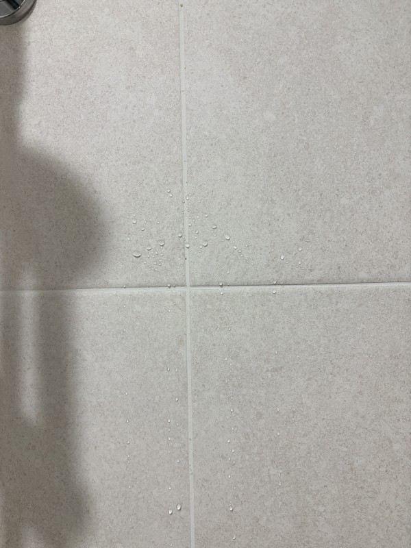 a00333e7212b9d108ec29925ee377c40_1789350821_8371.jpeg